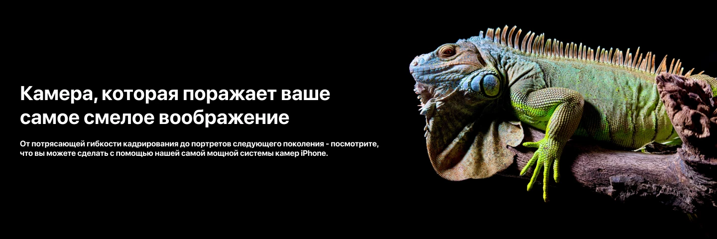 Смартфон Apple iPhone 15 Pro Max 256 ГБ, Dual: nano SIM + eSIM, Titan, титан